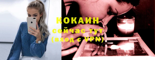 спайс Алексин