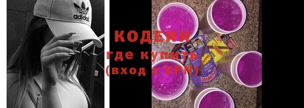 эйфоретик Алзамай