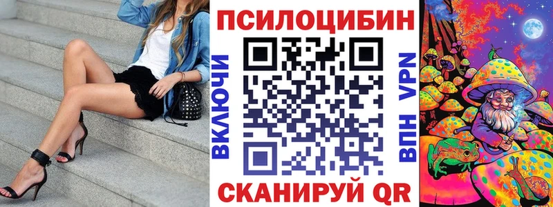 Купить закладки  Пикалёво  Галлюциногенные грибы MAGIC MUSHROOMS 